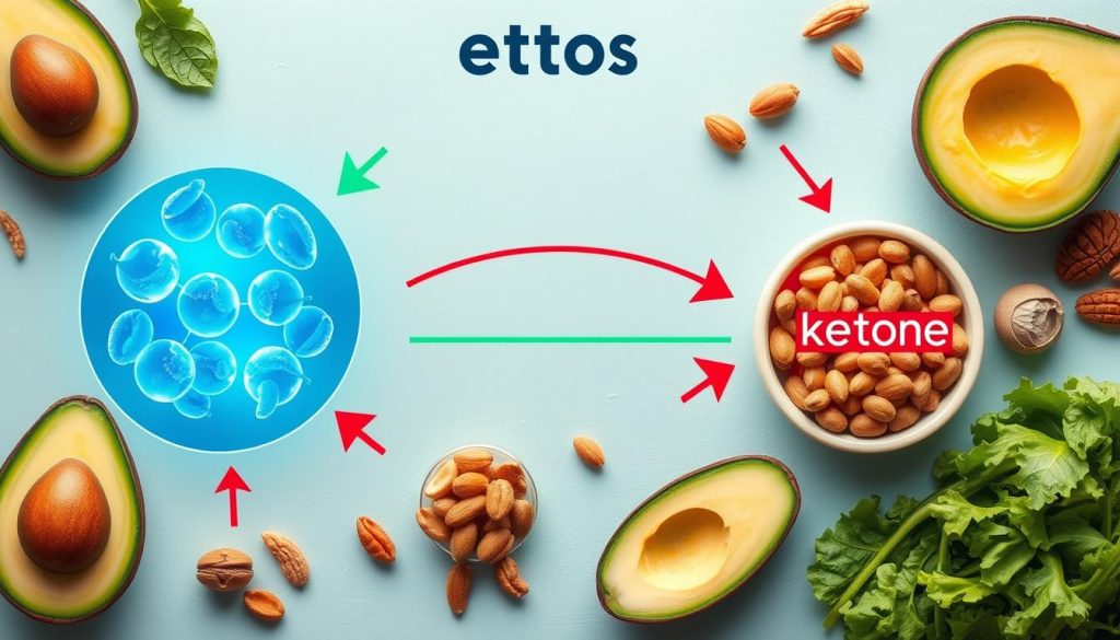 ketosis explained